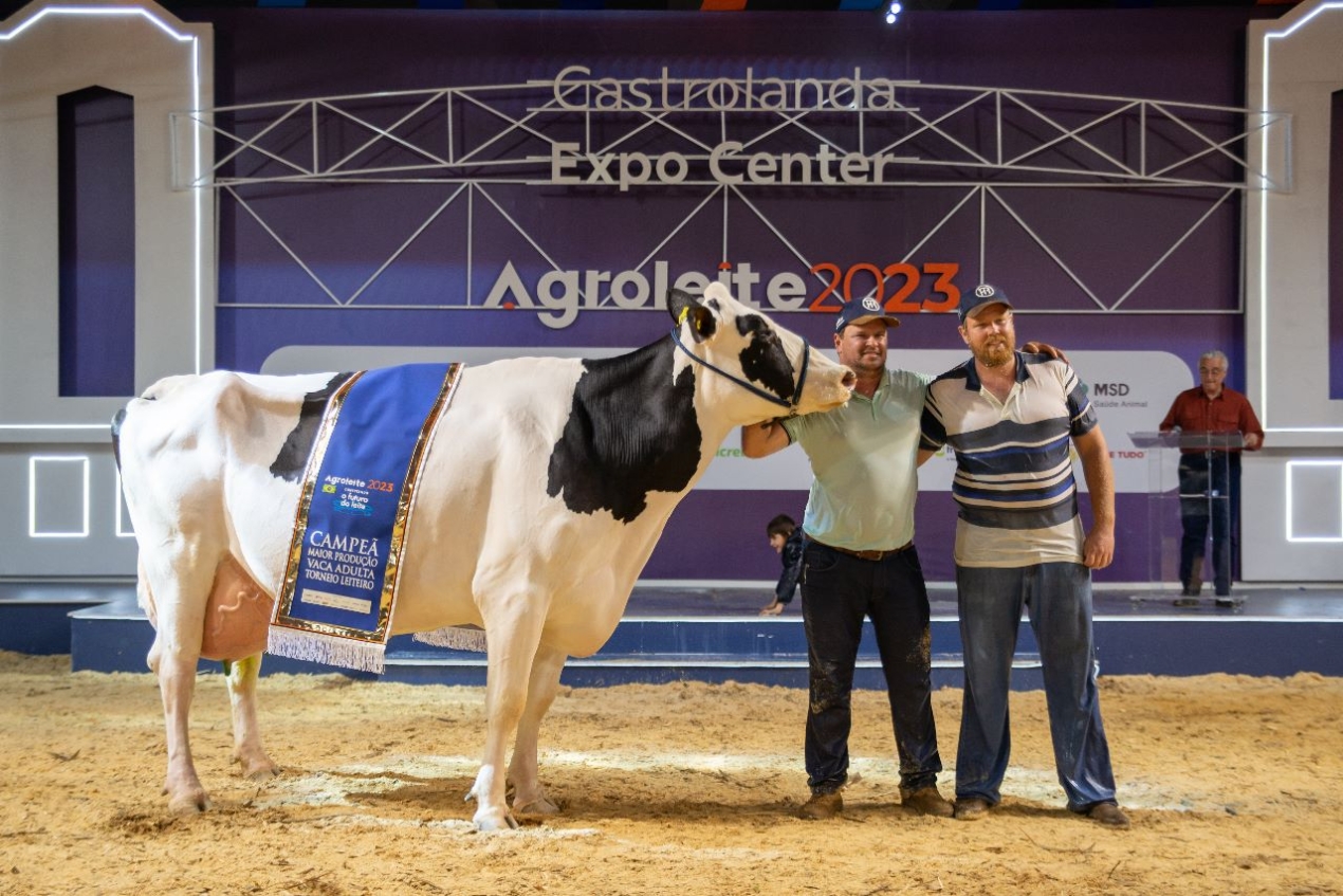 Celebra O De Excel Ncia E Dedica O Parab Ns Aos Vencedores Do