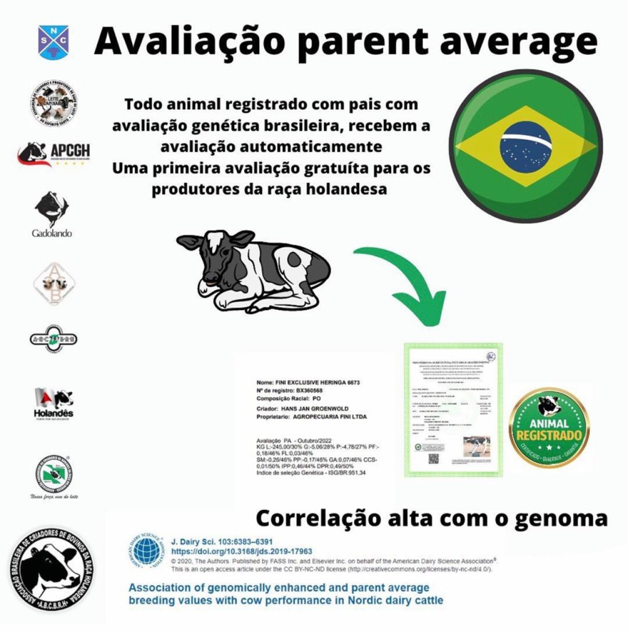 AVALIAÇÃO PARENT AVERAGE