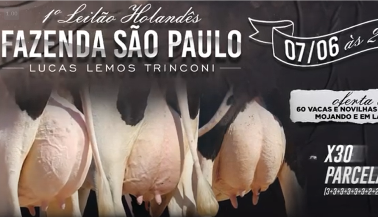 Nota de fechamento do LEILÃO HOLANDES FAZENDA SÃO PAULO