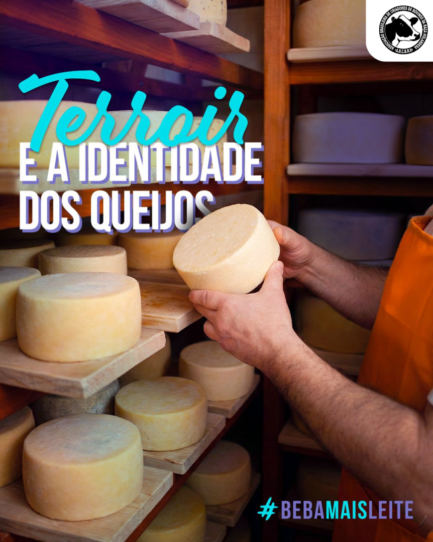 TERRIOR E A IDADE DOS QUEIJOS